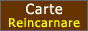 Carte Reincarnare